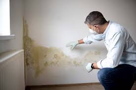 Biohazard Mold Removal in Leavenworth, KS